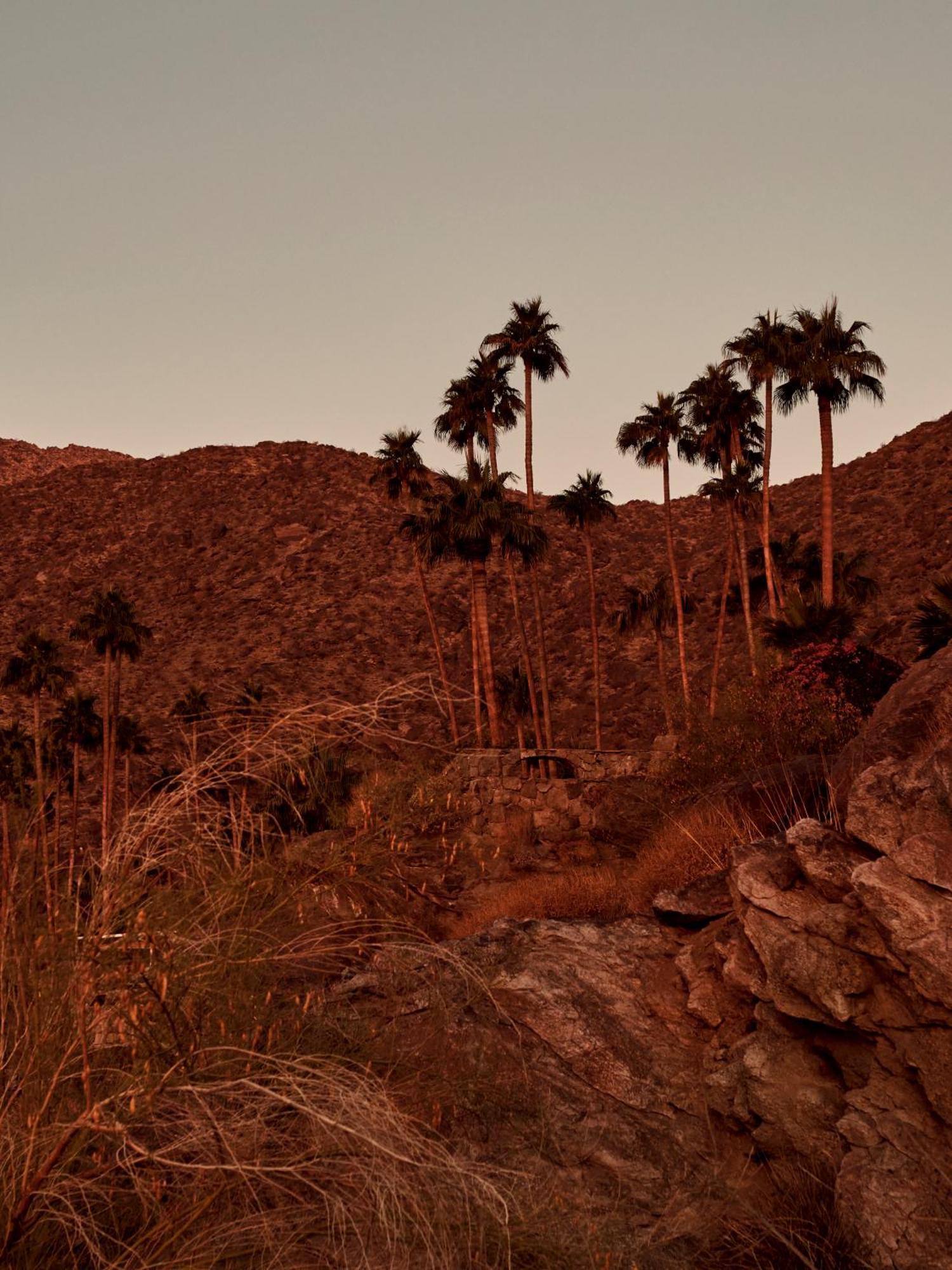The Willows Palm Springs Exterior photo