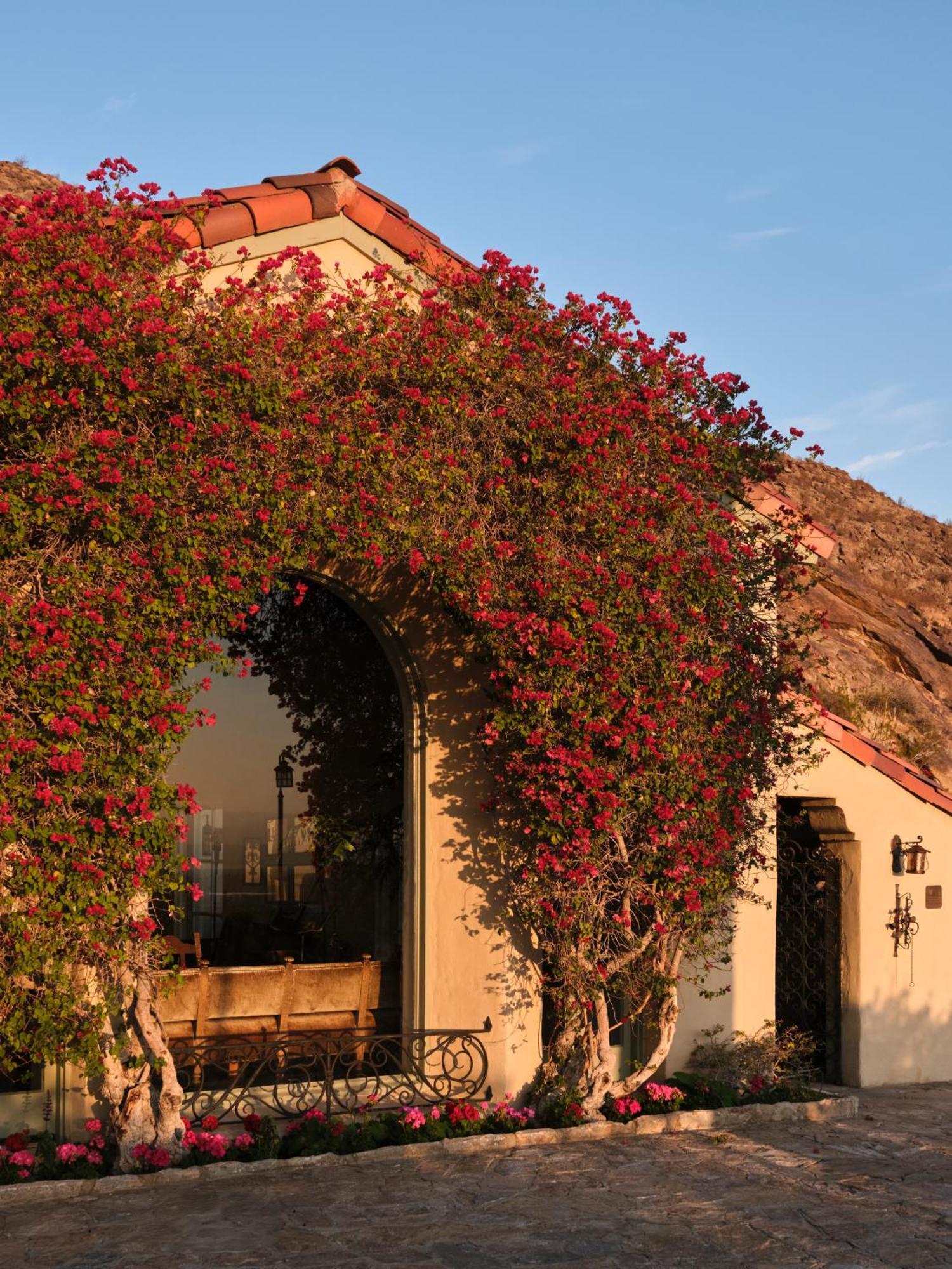 The Willows Historic Inn Palm Springs Exterior photo